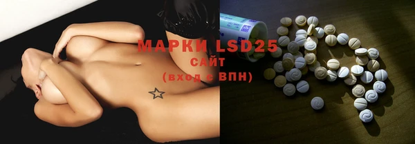 apvp Надым
