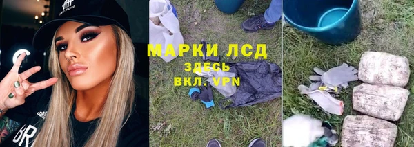 apvp Надым