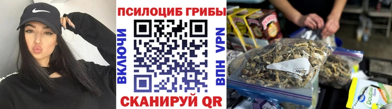 Галлюциногенные грибы Psilocybine cubensis Юрюзань